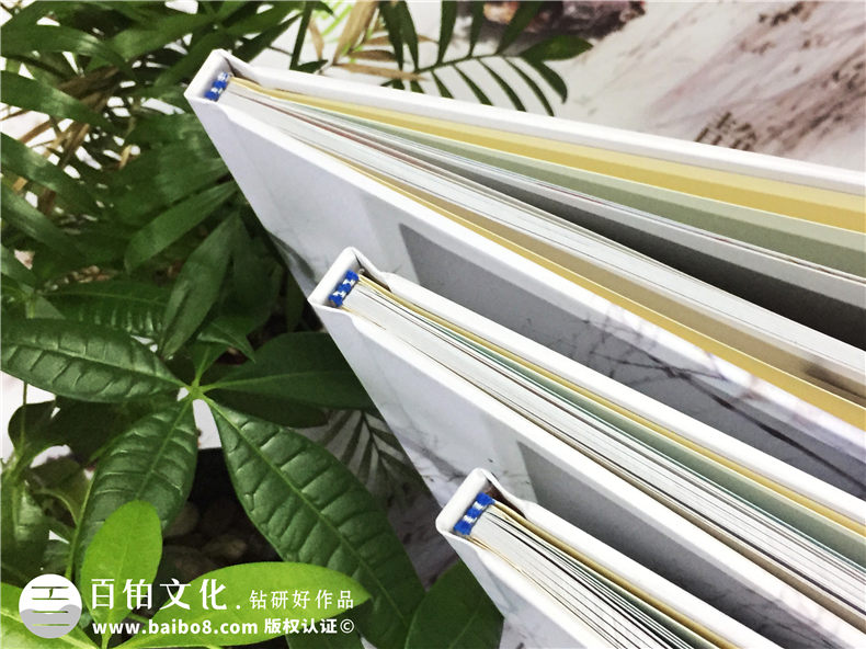 畢業(yè)季制作同學(xué)紀念冊 該怎么完成畢業(yè)紀念冊 喚起美好記憶！