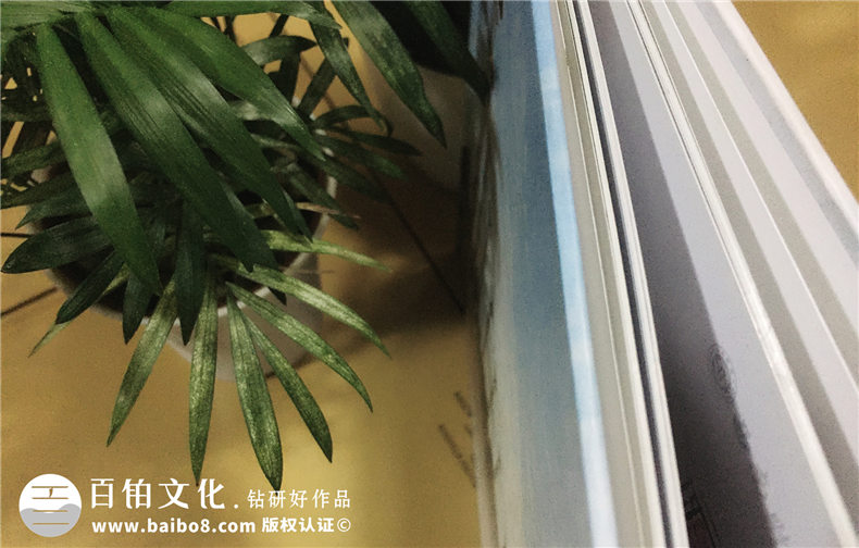 西南財經(jīng)大學保險學院2007級本科畢業(yè)紀念冊