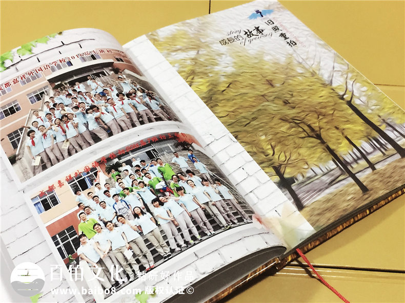 初中畢業(yè)紀(jì)念冊設(shè)計(jì)-時光的小火車記錄著校園成長-嘉祥外國語學(xué)校