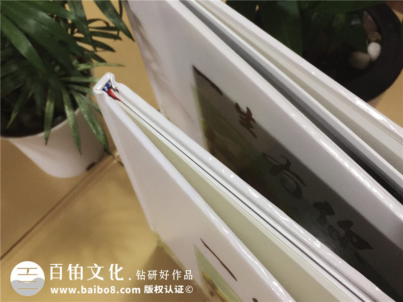 西南財經(jīng)大學-經(jīng)濟學基地班畢業(yè)紀念冊-同學錄
