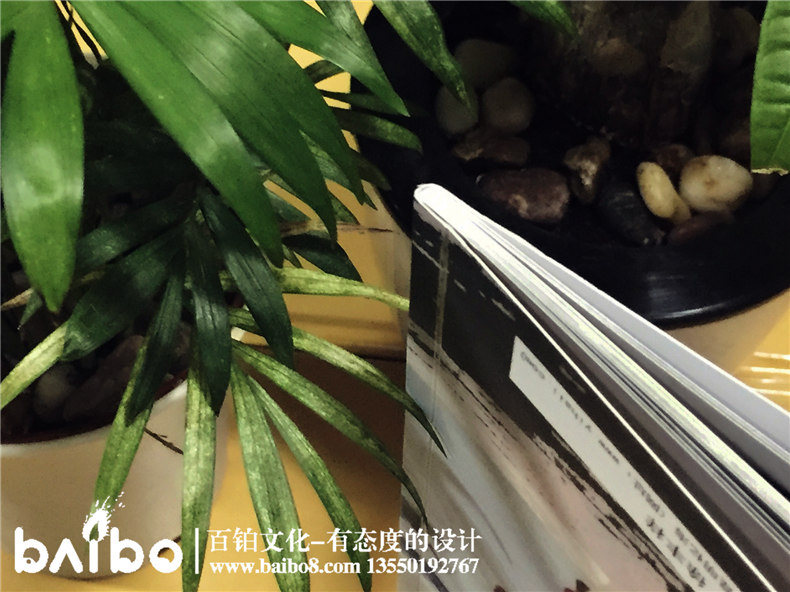 盤龍中學(xué)初中高中四十周年同學(xué)聚會紀(jì)念冊