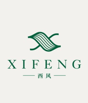 成都logo設(shè)計(jì)去哪里 有哪個(gè)logo設(shè)計(jì)公司值得推薦？