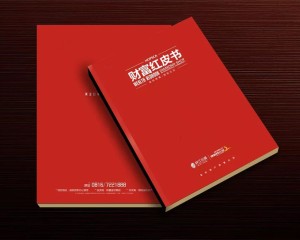 真正高端的房地產(chǎn)企業(yè)宣傳畫冊設(shè)計 擺脫創(chuàng)意文案 廣告照樣牛逼！