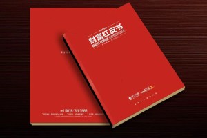 真正高端的房地產(chǎn)企業(yè)宣傳畫(huà)冊(cè)設(shè)計(jì) 擺脫創(chuàng)意文案 廣告照樣牛逼！