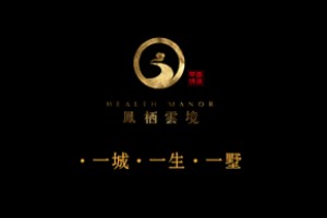 別墅宣傳冊(cè)設(shè)計(jì)方案-中國(guó)風(fēng)房地產(chǎn)樓盤(pán)畫(huà)冊(cè)設(shè)計(jì)怎么做