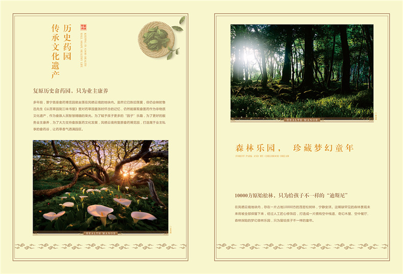 別墅宣傳冊設(shè)計方案-中國風房地產(chǎn)樓盤畫冊設(shè)計怎么做