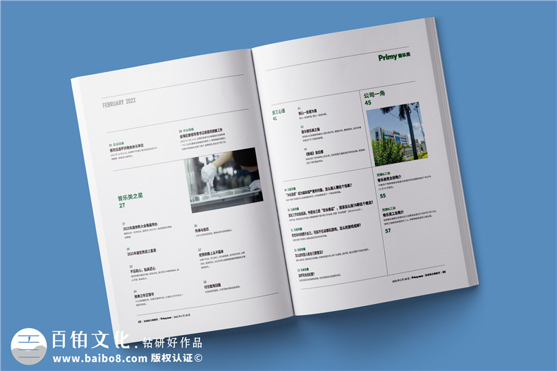設(shè)計(jì)師為你分享企業(yè)內(nèi)部刊物的設(shè)計(jì)建議第2張-宣傳畫冊,紀(jì)念冊設(shè)計(jì)制作-價(jià)格費(fèi)用,文案模板,印刷裝訂,尺寸大小