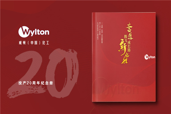 化工企業(yè)20周年紀(jì)念冊(cè)設(shè)計(jì)-公司整合發(fā)展大事記畫冊(cè)