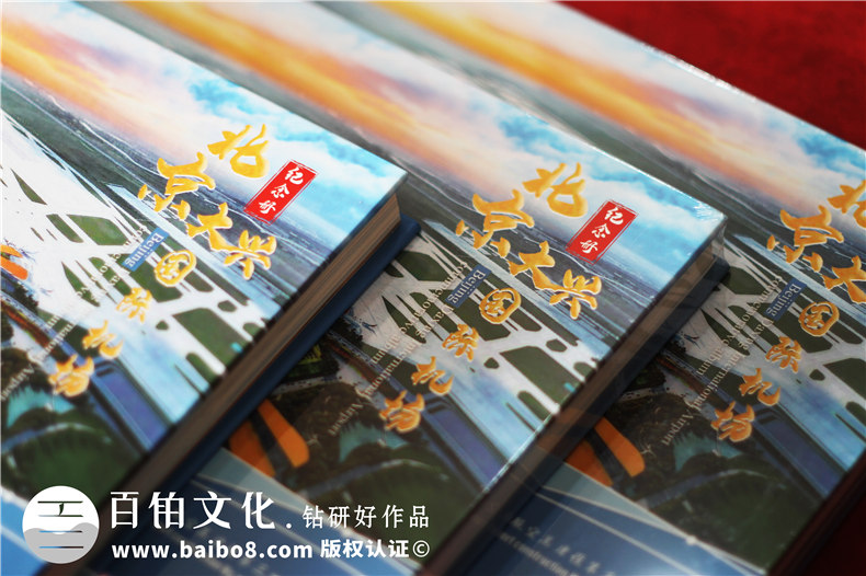 項(xiàng)目建設(shè)收官驗(yàn)收回顧紀(jì)念相冊(cè)-項(xiàng)目竣工匯報(bào)畫冊(cè)