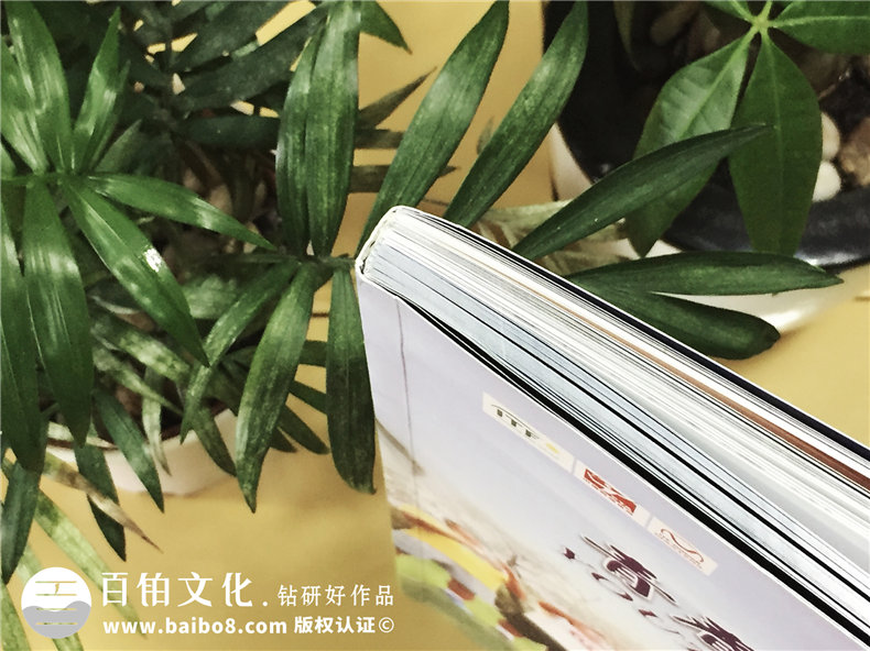 青少年網(wǎng)球大師賽紀念畫冊-團體活動紀念冊定制