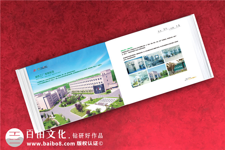 企業(yè)周年慶紀念冊包含哪些內容框架-分公司支部建廠成立二十年畫冊