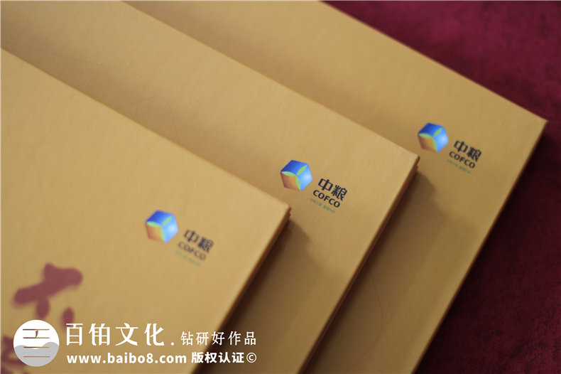 企業(yè)十周年影像紀(jì)念冊怎么做-用于宣傳的知名公司周年慶畫冊設(shè)計