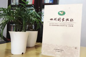 四川國(guó)家地標(biāo)-成都地方志書(shū)籍縣志印刷制作