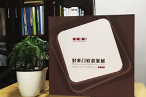 好多門軟裝家居宣傳畫(huà)冊(cè)定制-產(chǎn)品宣傳畫(huà)冊(cè)