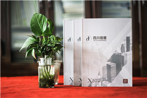 財(cái)務(wù)審計(jì)公司宣傳冊(cè)設(shè)計(jì)-工程造價(jià)管理及稅務(wù)咨詢資產(chǎn)評(píng)估企業(yè)畫(huà)冊(cè)