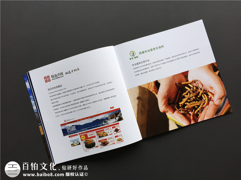 「案例」電商平臺企業(yè)宣傳畫冊設(shè)計(jì)-如何制作互聯(lián)網(wǎng)公司產(chǎn)品宣傳冊