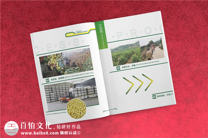 【水果宣傳冊(cè)設(shè)計(jì)】 農(nóng)業(yè)公司農(nóng)產(chǎn)品畫(huà)冊(cè)制作 樣本冊(cè)印刷
