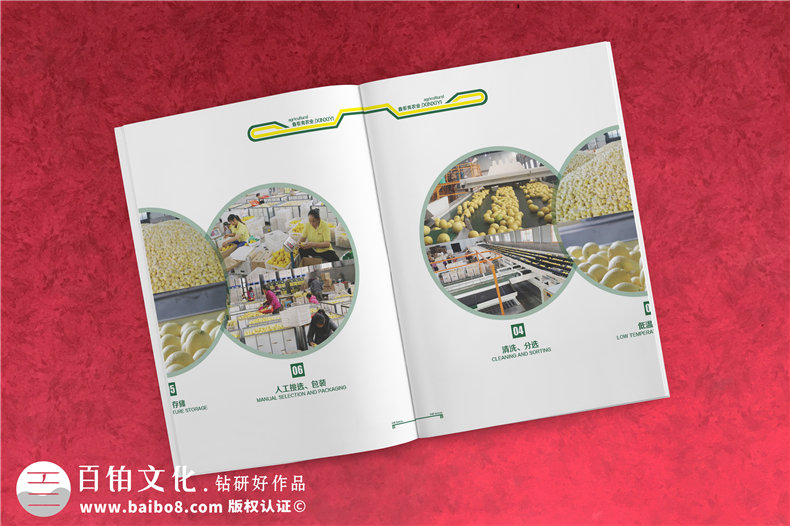 【水果宣傳冊(cè)設(shè)計(jì)】 農(nóng)業(yè)公司農(nóng)產(chǎn)品畫(huà)冊(cè)制作 樣本冊(cè)印刷