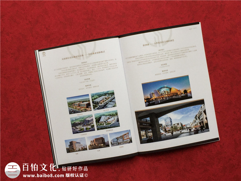 房地產(chǎn)置業(yè)開發(fā)公司宣傳冊設計-造價咨詢物業(yè)管理營銷代理企業(yè)畫冊