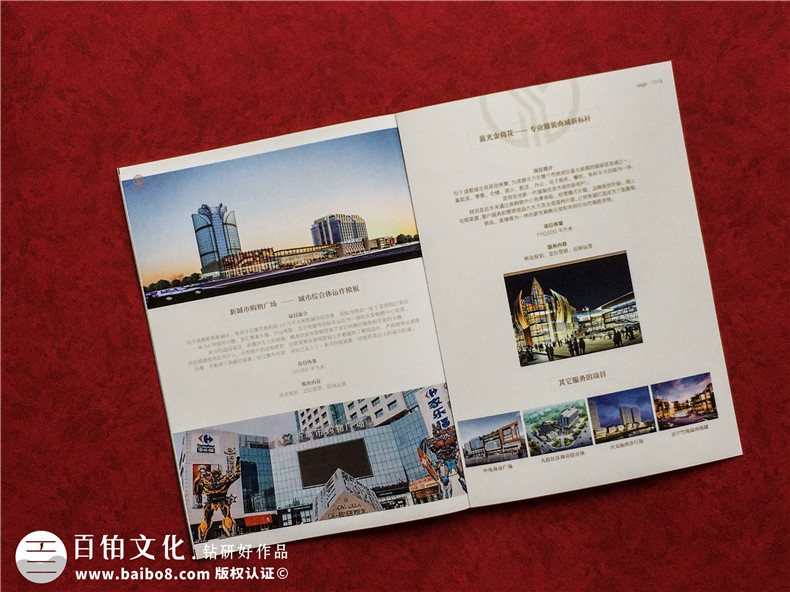 房地產(chǎn)置業(yè)開發(fā)公司宣傳冊設計-造價咨詢物業(yè)管理營銷代理企業(yè)畫冊