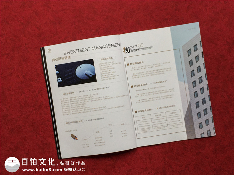 房地產(chǎn)置業(yè)開發(fā)公司宣傳冊設計-造價咨詢物業(yè)管理營銷代理企業(yè)畫冊