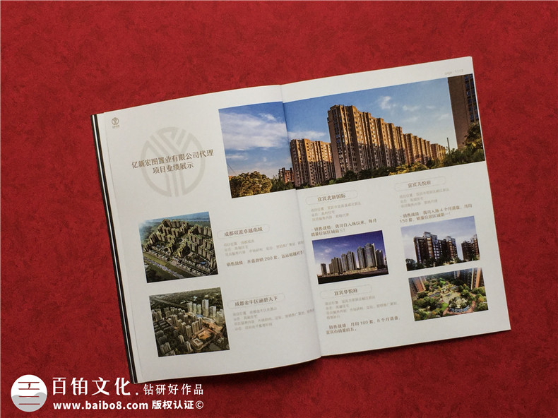 房地產(chǎn)置業(yè)開發(fā)公司宣傳冊設計-造價咨詢物業(yè)管理營銷代理企業(yè)畫冊