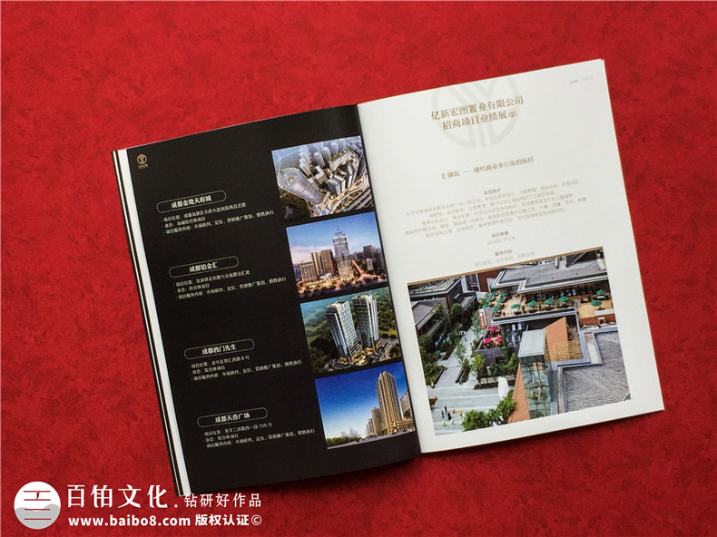 房地產(chǎn)置業(yè)開發(fā)公司宣傳冊設計-造價咨詢物業(yè)管理營銷代理企業(yè)畫冊