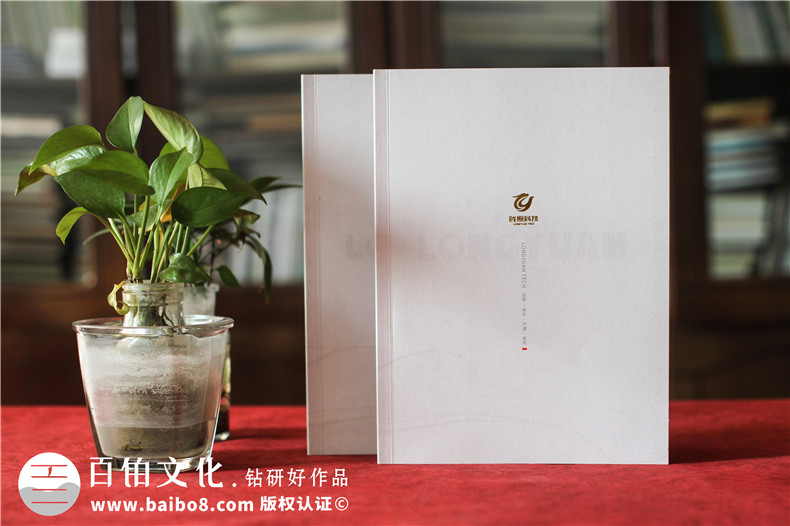 設(shè)計(jì)科技公司宣傳冊(cè)-從設(shè)計(jì)思路到實(shí)現(xiàn)