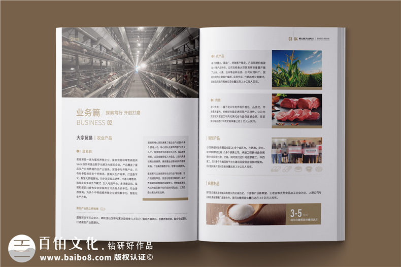 外貿企業(yè)宣傳冊-供應鏈服務實業(yè)公司畫冊設計