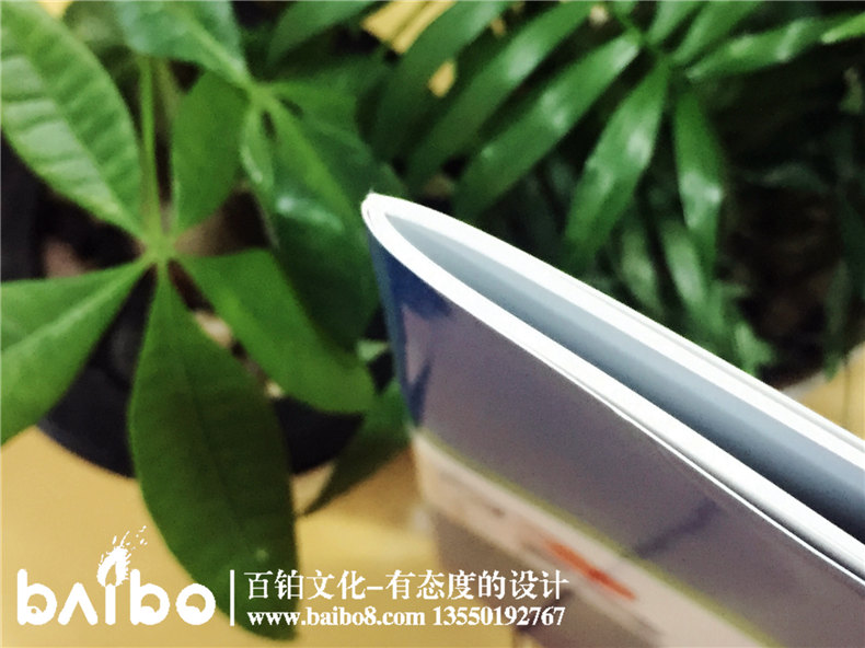 高新信息技術(shù)企業(yè)宣傳畫冊設(shè)計制作-公司畫冊印刷