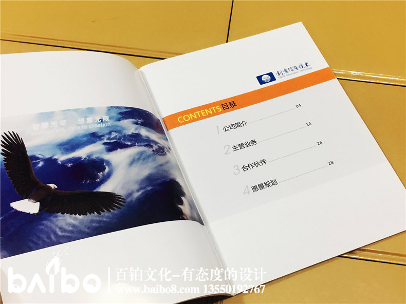 高新信息技術(shù)企業(yè)宣傳畫冊設(shè)計制作-公司畫冊印刷