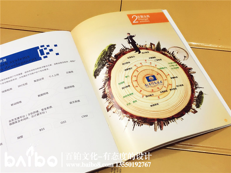 高新信息技術(shù)企業(yè)宣傳畫冊設(shè)計制作-公司畫冊印刷