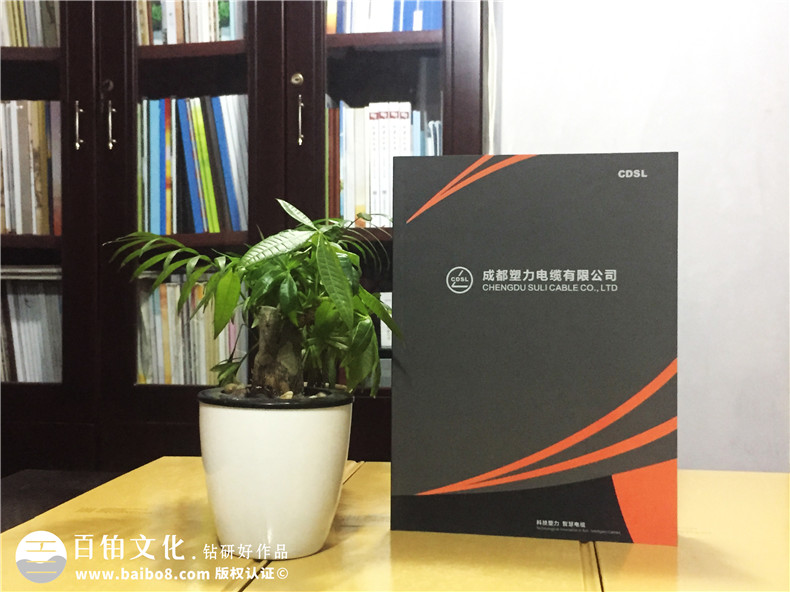 企業(yè)宣傳畫冊制作-公司業(yè)務手冊