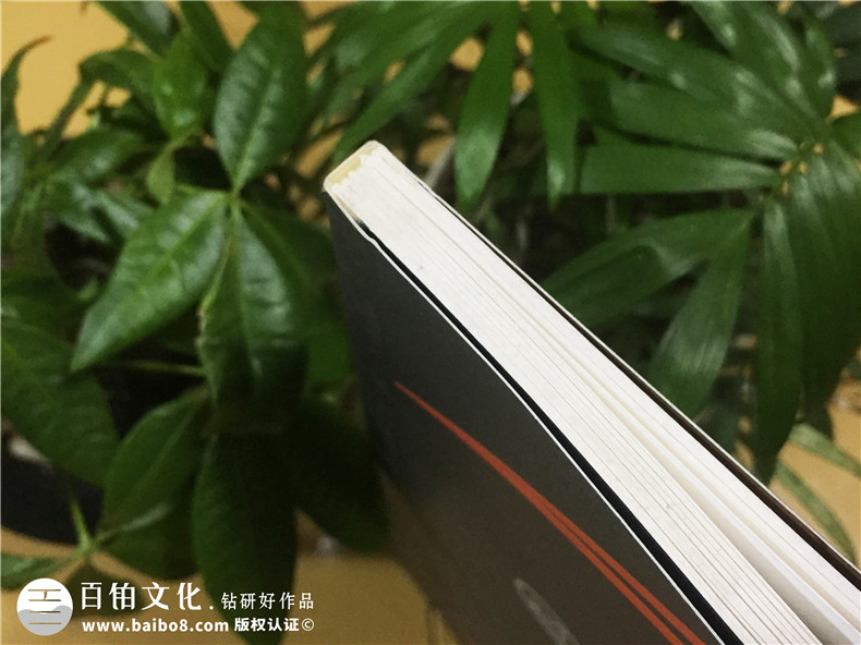 企業(yè)宣傳畫冊制作-公司業(yè)務手冊