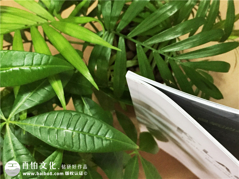 醫(yī)療器械宣傳冊(cè)設(shè)計(jì)-醫(yī)院畫冊(cè)制作-畫冊(cè)印刷