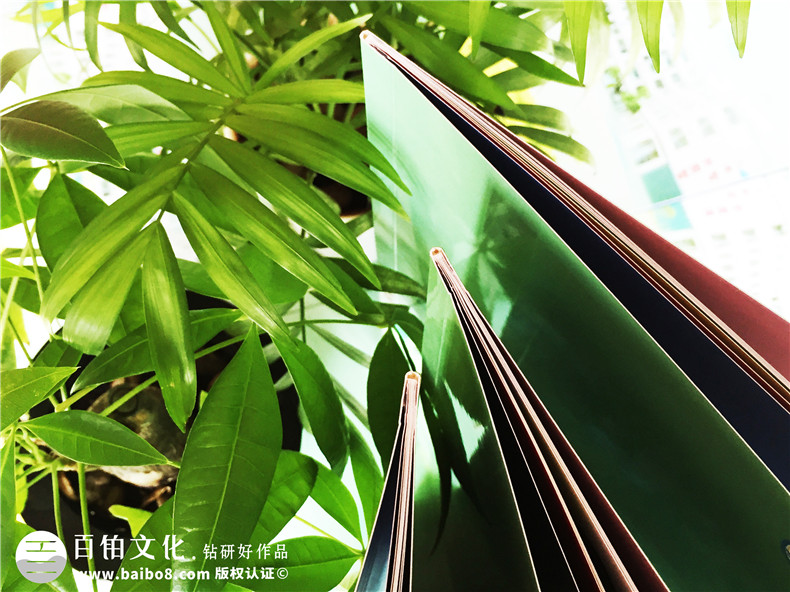 學校宣傳冊設計-江西撫州宣傳畫冊制作公司