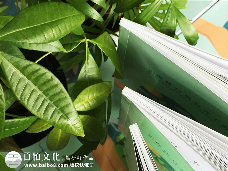 景區(qū)宣傳畫冊(cè)內(nèi)頁(yè)版式設(shè)計(jì)-旅游景點(diǎn)森林自然資源教育手冊(cè)怎么做?