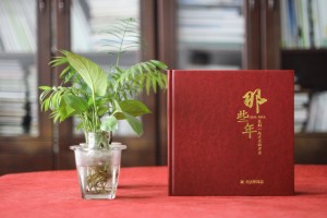 領(lǐng)導新晉升職的工作回憶紀念畫冊怎么設計