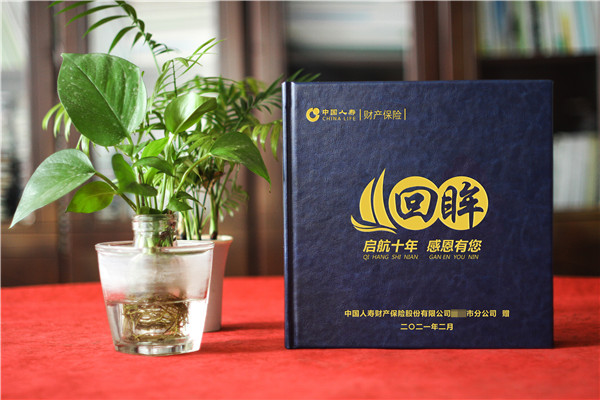 保險公司領導調(diào)離影集設計-總經(jīng)理十年工作總結回憶錄紀念冊