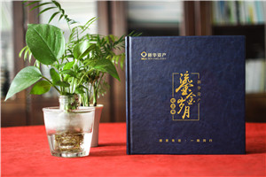 時(shí)光影像，情誼永恒——資產(chǎn)管理公司領(lǐng)導(dǎo)調(diào)任留念相冊(cè)
