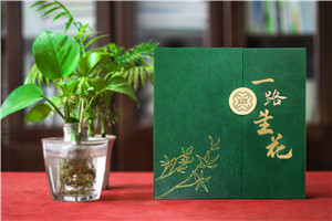 【高端定制?領(lǐng)袖印記】精裝領(lǐng)導(dǎo)紀(jì)念冊(cè) —— 鐫刻時(shí)光，鑄就榮耀