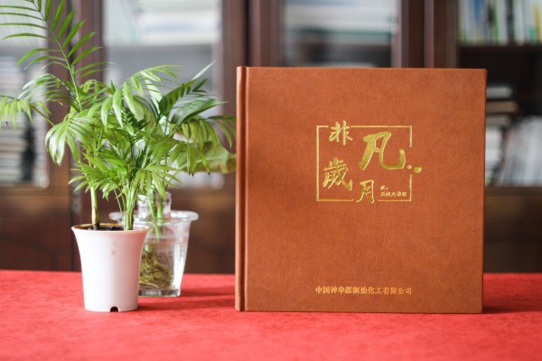 給調(diào)走離任的領(lǐng)導(dǎo)干部設(shè)計(jì)一本個(gè)人工作紀(jì)念畫(huà)冊(cè)-用精致祝福感謝!