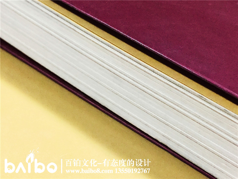 首都畫家-抗震救災(zāi)詩畫作品集-自費(fèi)出書