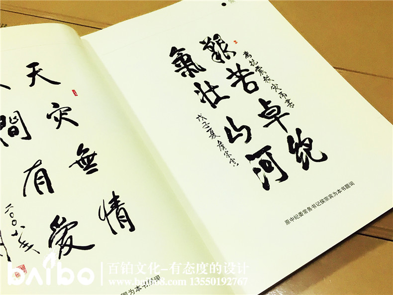 首都畫家-抗震救災(zāi)詩畫作品集-自費(fèi)出書