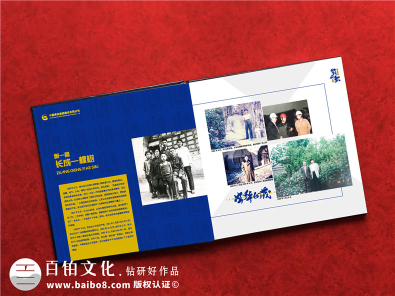 部門給領導做年度相冊怎么做-領導任期紀念冊