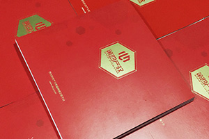 金融公司畫(huà)冊(cè)設(shè)計(jì) 金融行業(yè)宣傳冊(cè)設(shè)計(jì)要怎么做才好呢？
