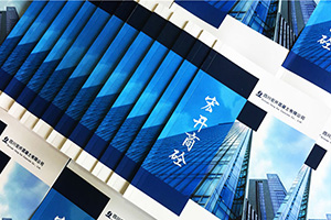 成都宣傳冊(cè)設(shè)計(jì)公司 確定企業(yè)形象設(shè)計(jì)方案 制作專業(yè)的企業(yè)宣傳冊(cè)！