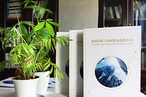 企業(yè)畫冊(cè)設(shè)計(jì)方法分享 專業(yè)的畫冊(cè)設(shè)計(jì)公司致力于提升企業(yè)品牌！
