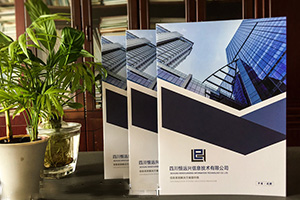 欣賞企業(yè)畫冊(cè)設(shè)計(jì)案例 分析專業(yè)的畫冊(cè)設(shè)計(jì)方法有哪些技巧？