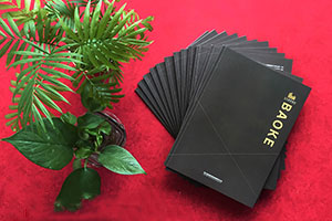 成都畫(huà)冊(cè)設(shè)計(jì)公司 具有專(zhuān)業(yè)的畫(huà)冊(cè)創(chuàng)意設(shè)計(jì)方向！